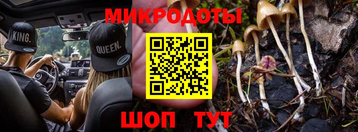 Донецк  Псилоцибиновые грибы Psilocybine cubensis  Вход с VPN 